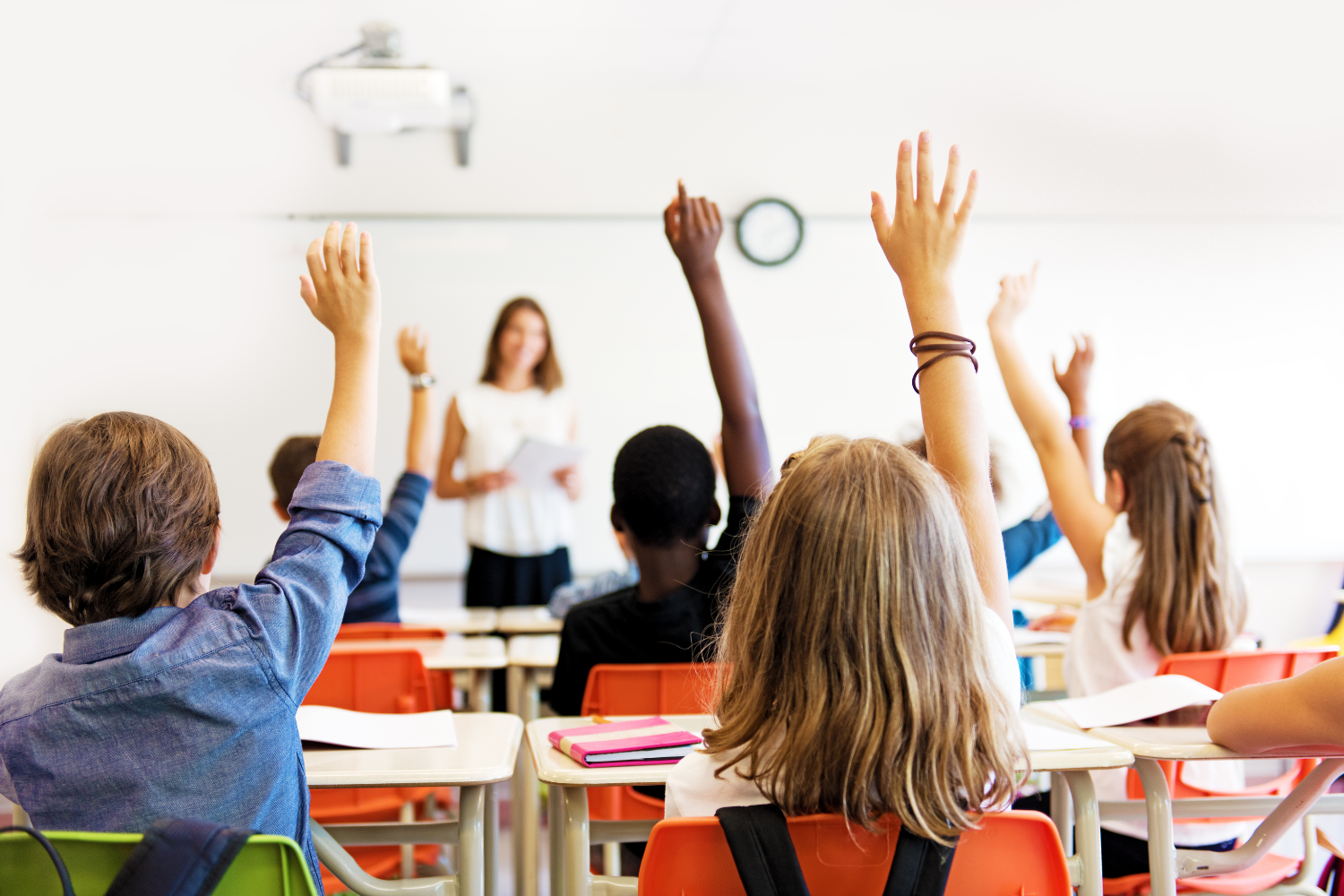 Bolsa de estudos como oferecer o benefício sem comprometer a gestão escolar